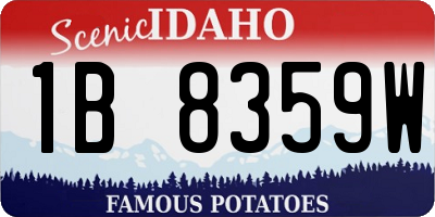 ID license plate 1B8359W
