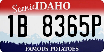 ID license plate 1B8365P