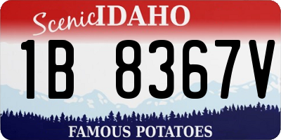 ID license plate 1B8367V