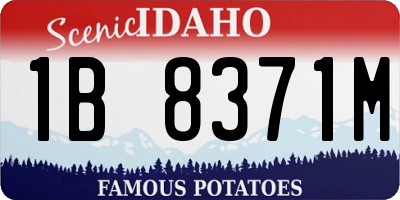 ID license plate 1B8371M