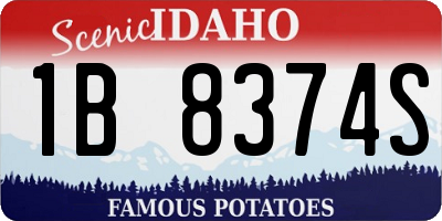 ID license plate 1B8374S