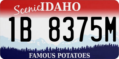 ID license plate 1B8375M