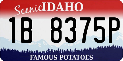 ID license plate 1B8375P
