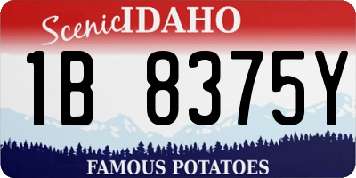 ID license plate 1B8375Y