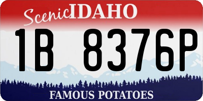 ID license plate 1B8376P