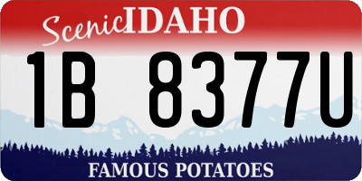 ID license plate 1B8377U