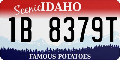 ID license plate 1B8379T