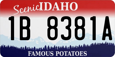 ID license plate 1B8381A