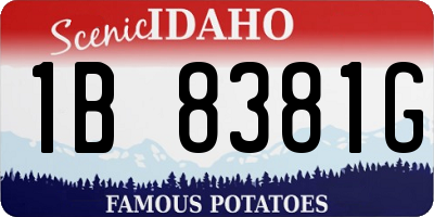 ID license plate 1B8381G