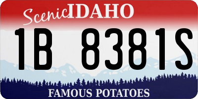 ID license plate 1B8381S