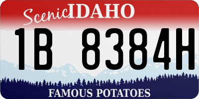 ID license plate 1B8384H