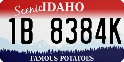 ID license plate 1B8384K