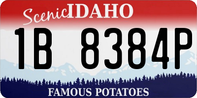 ID license plate 1B8384P