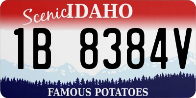 ID license plate 1B8384V