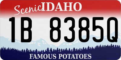 ID license plate 1B8385Q