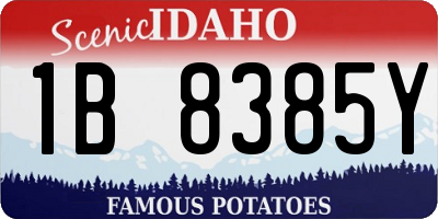 ID license plate 1B8385Y