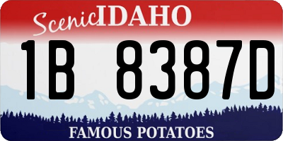 ID license plate 1B8387D