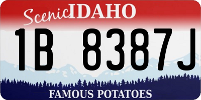 ID license plate 1B8387J