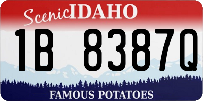 ID license plate 1B8387Q