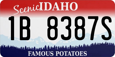 ID license plate 1B8387S
