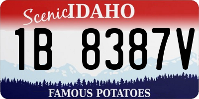 ID license plate 1B8387V