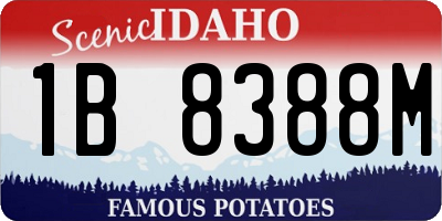 ID license plate 1B8388M