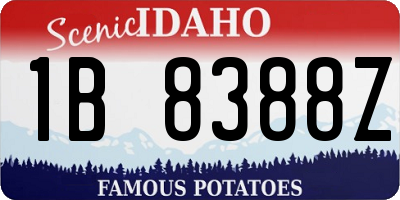 ID license plate 1B8388Z