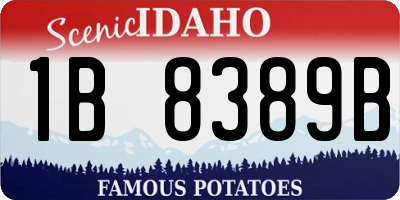 ID license plate 1B8389B