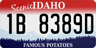 ID license plate 1B8389D