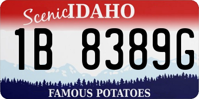 ID license plate 1B8389G