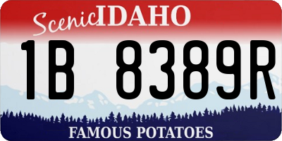 ID license plate 1B8389R
