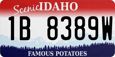 ID license plate 1B8389W