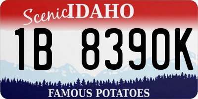ID license plate 1B8390K