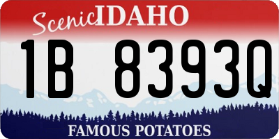ID license plate 1B8393Q