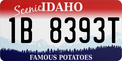 ID license plate 1B8393T