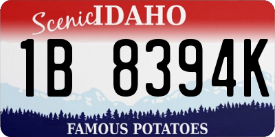 ID license plate 1B8394K