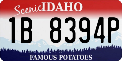 ID license plate 1B8394P