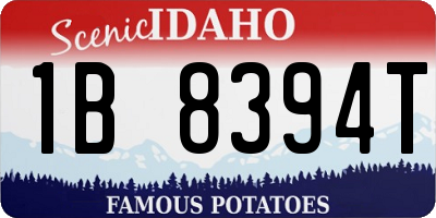 ID license plate 1B8394T