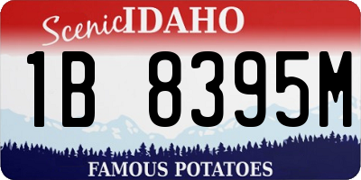 ID license plate 1B8395M