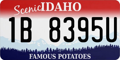 ID license plate 1B8395U