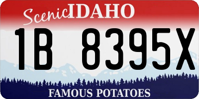 ID license plate 1B8395X