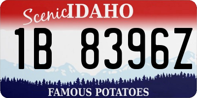 ID license plate 1B8396Z