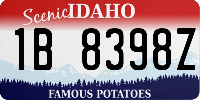 ID license plate 1B8398Z