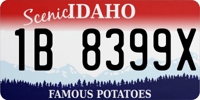 ID license plate 1B8399X
