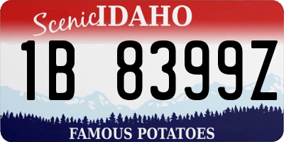 ID license plate 1B8399Z