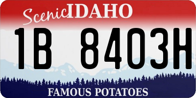 ID license plate 1B8403H