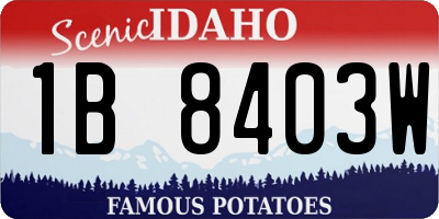 ID license plate 1B8403W