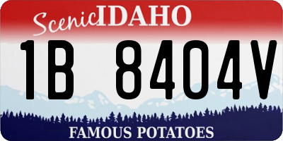 ID license plate 1B8404V