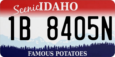 ID license plate 1B8405N