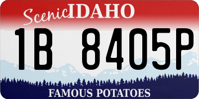 ID license plate 1B8405P